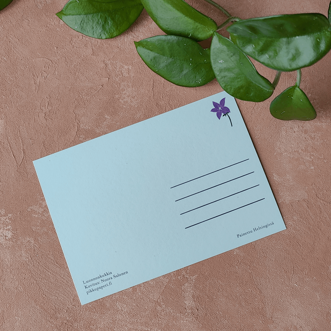 Luonnonkukkia | Postikortti