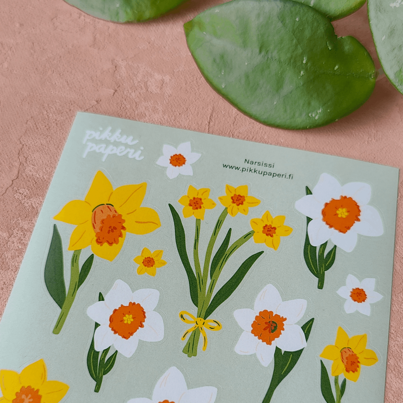 Narsissi | Tarra-arkki