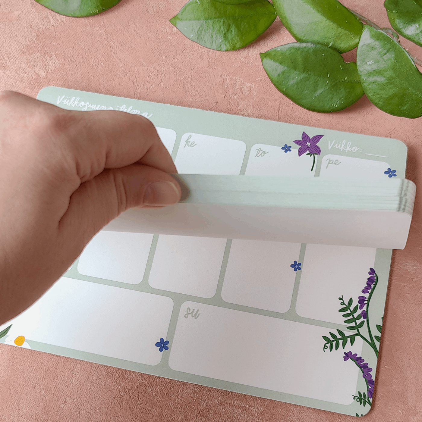 Luonnonkukkia | Viikkolehtiö