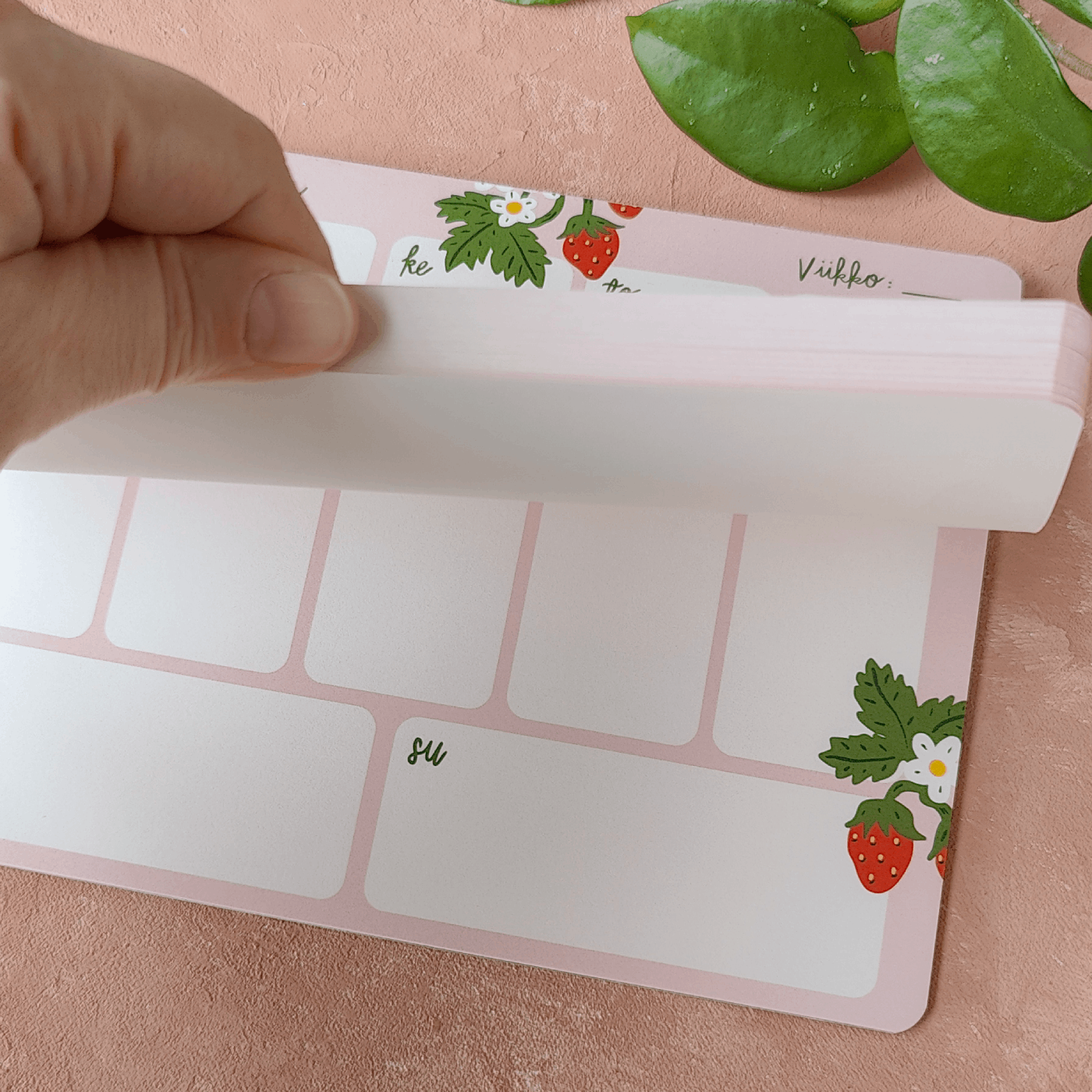 Mansikkakesä | Viikkolehtiö