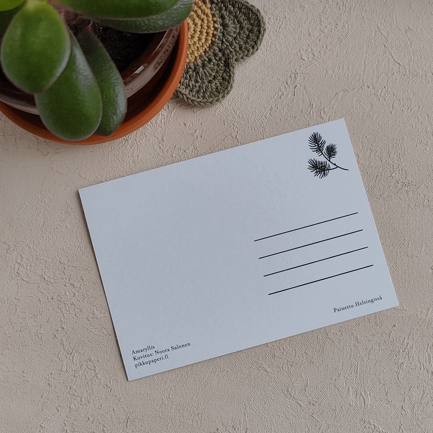 Amaryllis | Joulukortti