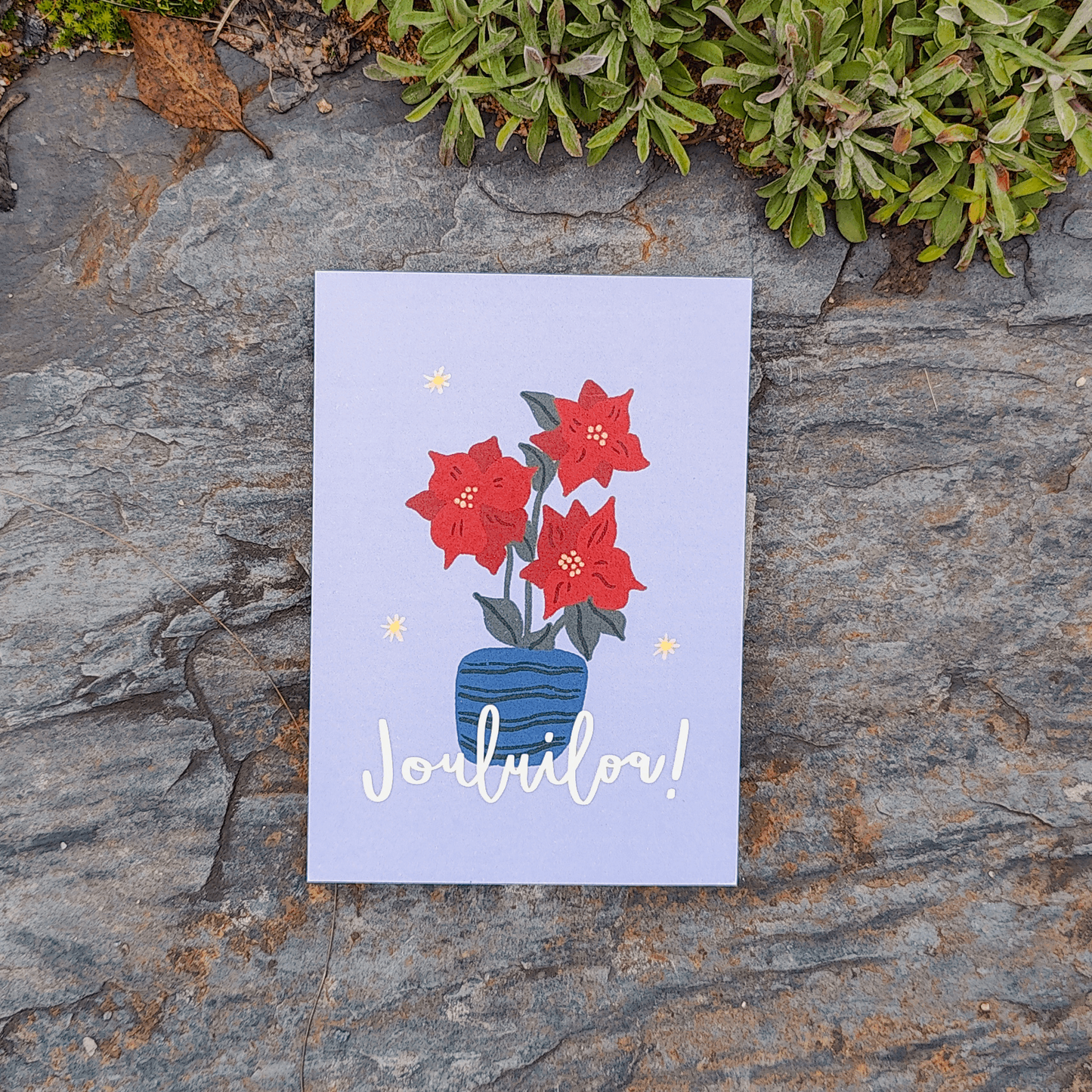 Joulutähti | Joulukortti